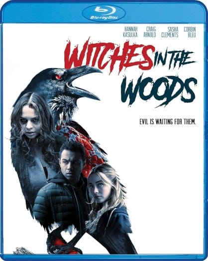 Witches in the Woods (2019) Hindi ORG Dual Audio BluRay | 1080p | 720p | 480p | ESubs | Moviesflix